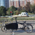 Bicicleta elétrica de bicicleta elétrica Motor Motor Ecargo